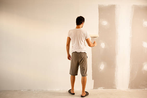 Best Repainting for Renovations  in Sheboygan Falls, WI